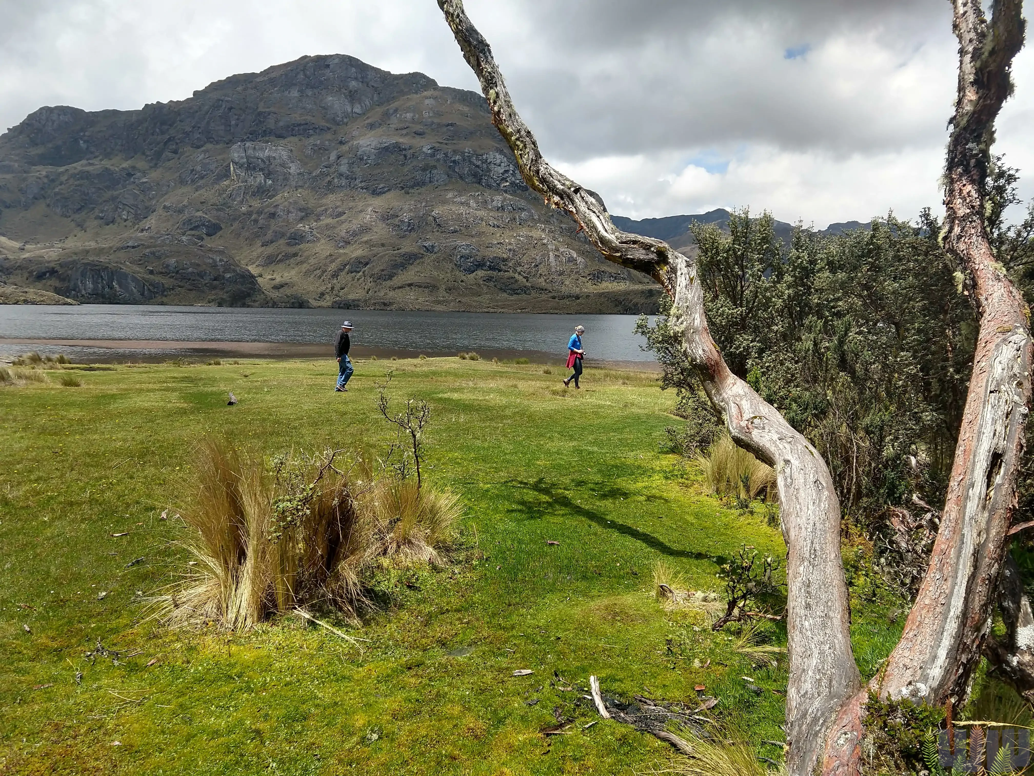 Parque Nacional Cajas