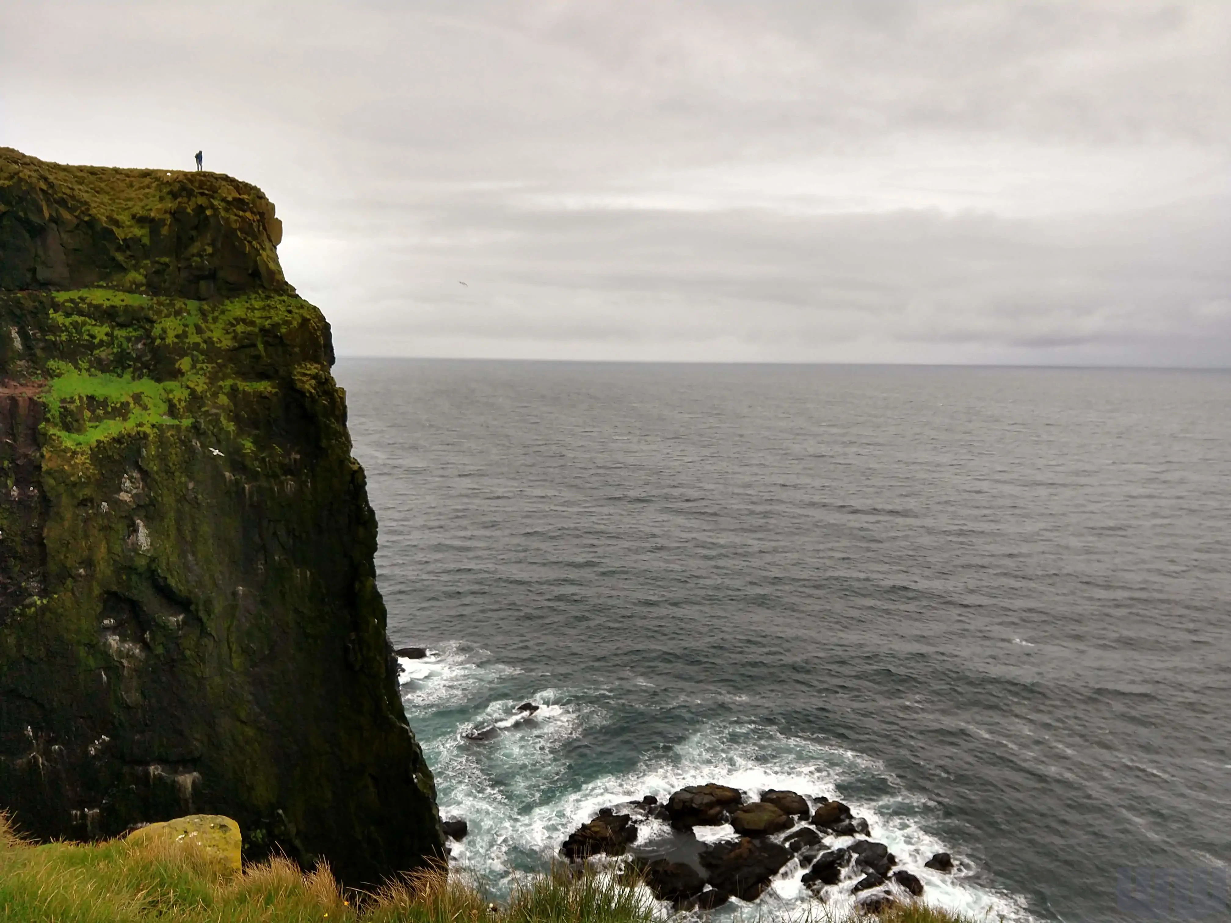 Látrabjarg