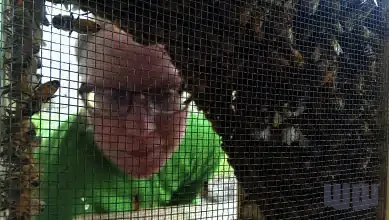 Rachel the Beekeeper